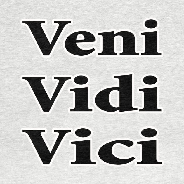 veni vidi vici by Huggy Mauve